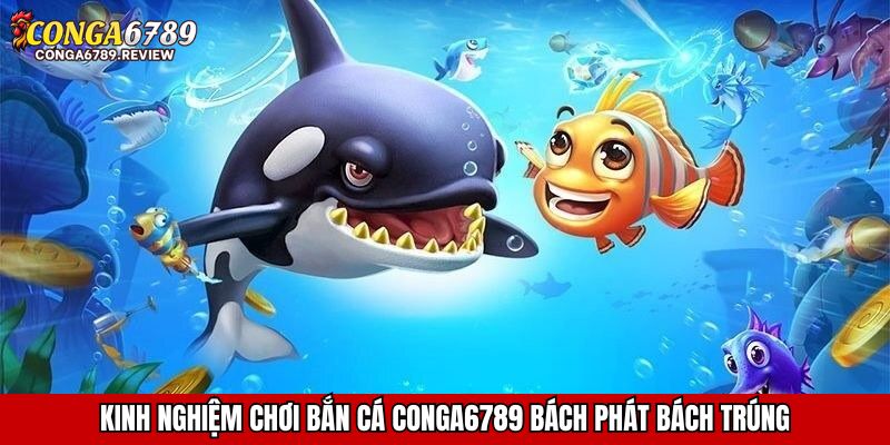 Kinh nghiệm chơi bắn cá CONGA6789 bách phát bách trúng
