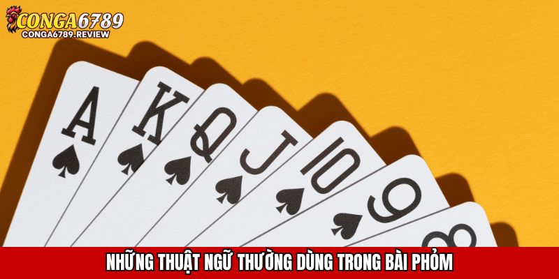 Những thuật ngữ thường dùng trong bài Phỏm