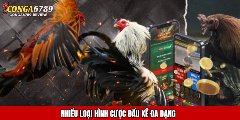 Nhiều loại hình cược đấu kê đa dạng