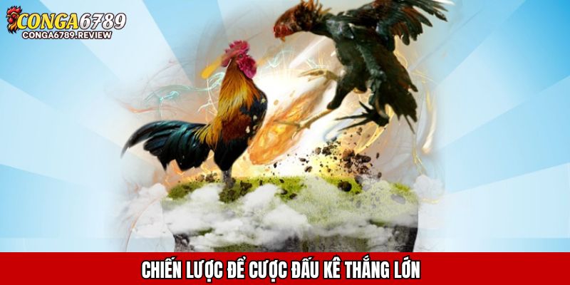 Chiến lược để cược đấu kê thắng lớn