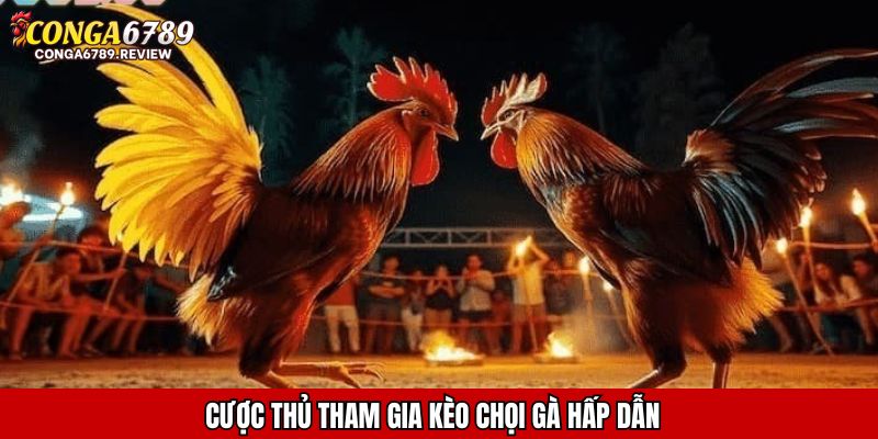 Cược thủ tham gia kèo chọi gà hấp dẫn
