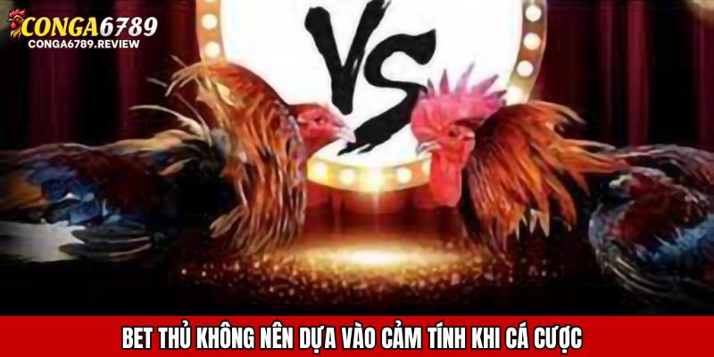 Bet thủ không nên dựa vào cảm tính khi cá cược