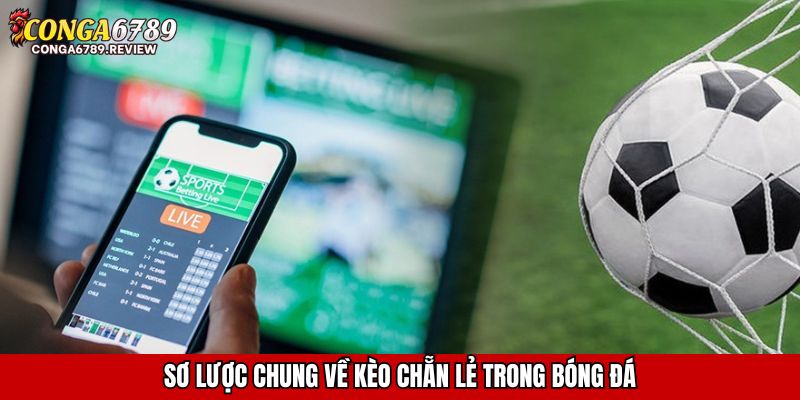 Sơ lược chung về kèo chẵn lẻ trong bóng đá