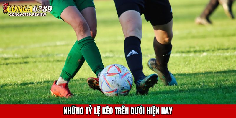 Những tỷ lệ kèo trên dưới hiện nay