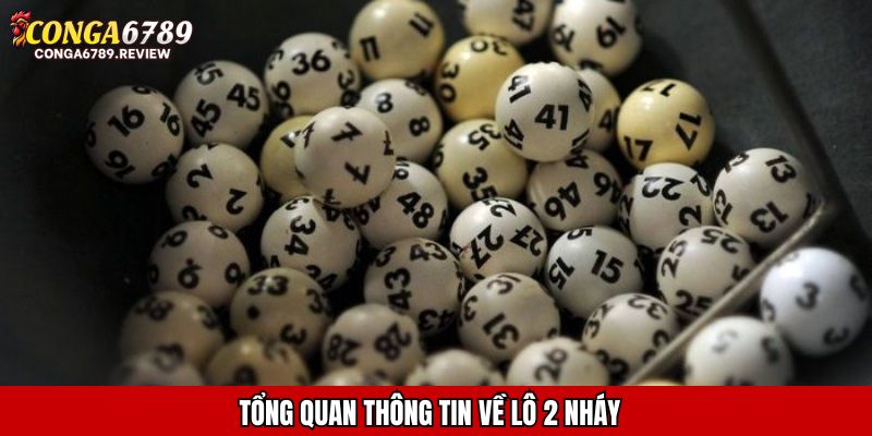 Tổng quan thông tin về lô 2 nháy