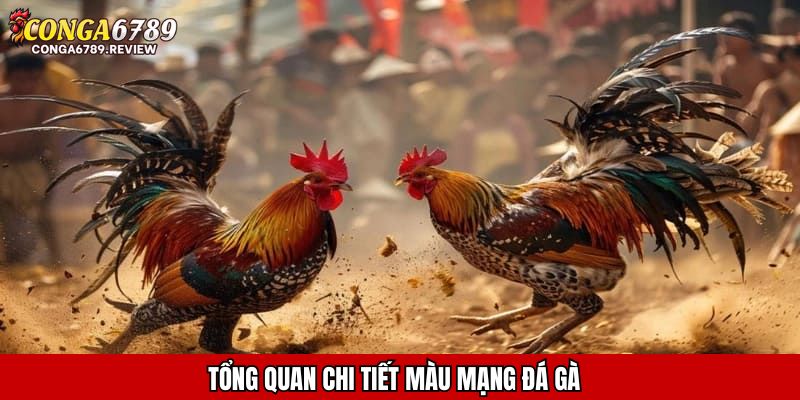 Tổng quan chi tiết màu mạng đá gà