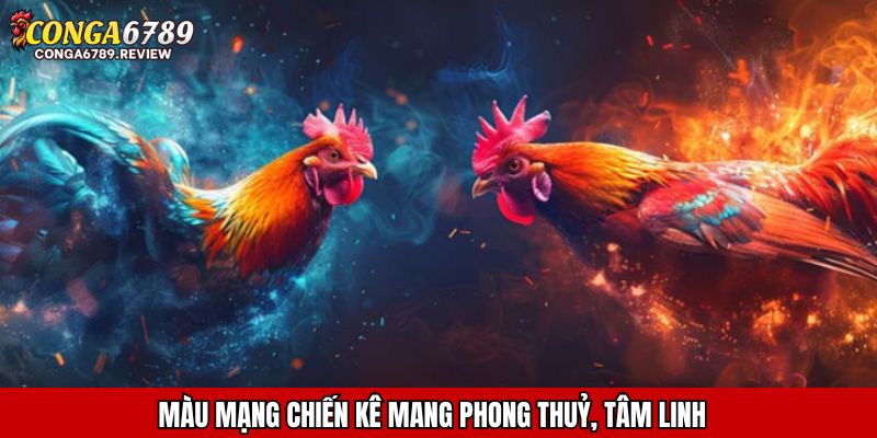 Màu mạng chiến kê mang phong thuỷ, tâm linh