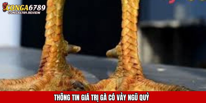 Thông tin giá trị gà có vảy ngũ quỷ